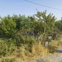 باغ با آب و برق بر جاده مثمر اطراف فنس ۱۳۰۰|فروش خانه و ویلا|کرمانشاه, |دیوار