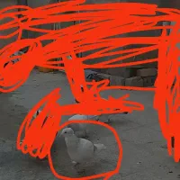 مینا اوقون کاکولی