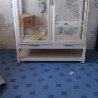 قفس پرنده|لوازم جانبی حیوانات|بندر انزلی, متروپل|دیوار