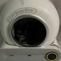 توالت هوشمند و اتوماتیک گربه Smart Cat Litter Box