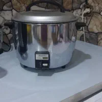 پلوپز برقی