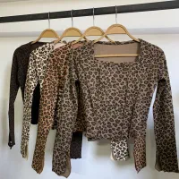 کراپ پلنگی|لباس|مشهد, هنرور|دیوار