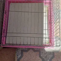 قفس فروشی