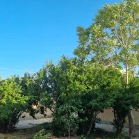 خانه-مسکونی-با-454-متر-زمین-در-مامونیه