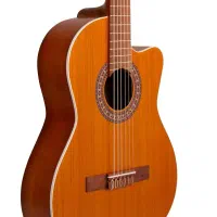 گیتار کلاسیک ایرانی