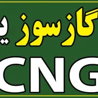 حسابدار خانم مسلط به هلو