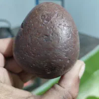 شهاب سنگ‌|کلکسیون اشیاء عتیقه|زاهدان, |دیوار