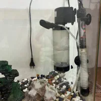 آکواریوم شیشه خم /با سنگ و فیلتر و بخاری تمییز|ماهی|تهران, مروارید شهر|دیوار