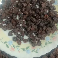 کشمش افتابی