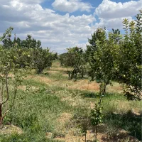 فروش-باغ-ویلا-1700متری-آبسرد-دماوند