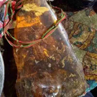 کارشناس