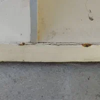 بوفه|بوفه، ویترین، کنسول|شیراز, لب آب|دیوار