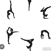 ژیمناستیک هنری