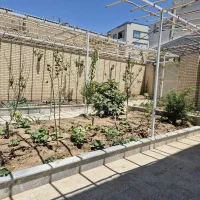 جهت-ساختمان-پزشکان-میدان-سپاه