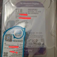 هارد WD بنفش (پلمپ)