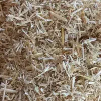 کاه دست اول درجه یک گندم ریز|لوازم جانبی حیوانات|انبارآلوم, |دیوار