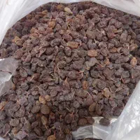 کشمش آفتابی همه جور موجود