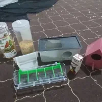 پرنده|پرنده|اسلامشهر, شهرک مهدیه|دیوار