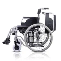 ویلچر حمامی|آرایشی، بهداشتی، درمانی|شیراز, پارک آزادی|دیوار