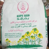 بذر کلزا هایولا ۵۰|گل و گیاه طبیعی|انبارآلوم, |دیوار
