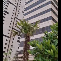 ۱۲۴ متری  /ویودار/پنجره قدی/شهرک مدرن ونوساز|اجارهٔ آپارتمان|تهران, شهرک چیتگر|دیوار