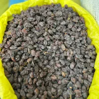 مویز کشمش آفتابی