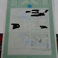 زمین تک برگ سند جنب نمایشگاه