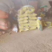 کاه دیم درجه یک|خدمات باغبانی و درختکاری|مسجد سلیمان, |دیوار