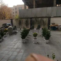 خدمات باغبانی وهرس کاری و تعویض خاک گلدان|خدمات باغبانی و درختکاری|تهران, تهرانسر مرکزی|دیوار