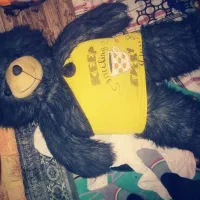 خرس دومتری تو پر پرزدار. و.