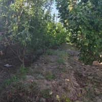 فروش-باغچه