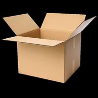 کارگر ماهر کارتن سازی