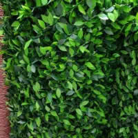 فنس برگی و خز ، پادری اسفنچی|مصالح و تجهیزات ساختمان|یزد, |دیوار