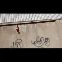 منزل کلنگی قابل سکونت|فروش زمین و ملک کلنگی|تهران, حر|دیوار