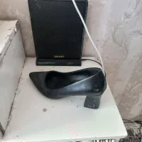 کفش زنانه|کیف، کفش، کمربند|مشهد, طبرسی شمالی|دیوار