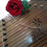 آموزش و تدریس خصوصی سنتور|خدمات آموزشی|تهران, هروی|دیوار