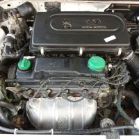 ساینا دوگانه