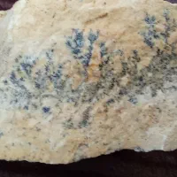 سنگ شجر|کلکسیون اشیاء عتیقه|ایجرود, |دیوار