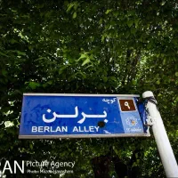 غرفه میز کوچه برلن|اجارهٔ مغازه و غرفه|تهران, لاله زار|دیوار