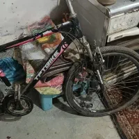 دوچرخه 26|دوچرخه، اسکیت، اسکوتر|نوشین شهر, |دیوار