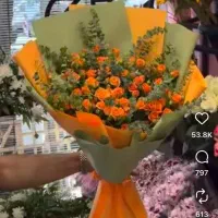فروشنده گیاهان اپارتمانی ودسته گل وتاج گل