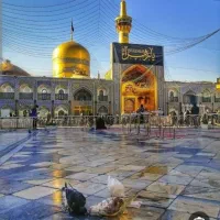 اکیپ کنترات وپیمانکاری