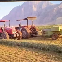 یونجه و ذرت علوفه