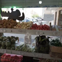 واگذاری میوه فروشی|اجارهٔ مغازه و غرفه|مشهد, حسابی جنوبی (شهرک غرب)|دیوار