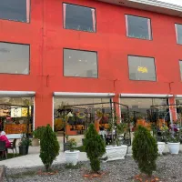 استخدام نیروهای رستوران در مجموعه نارنجی