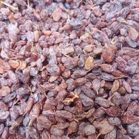 کشمش|خوردنی و آشامیدنی|شیراز, قلعه نو|دیوار