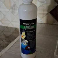 عروس هلندی|پرنده|فردیس, منظریه|دیوار