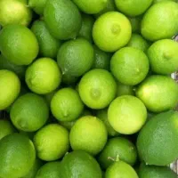 فروش لیموی جهرم و خرمای قصب جهرم|خوردنی و آشامیدنی|قائم‌شهر, |دیوار