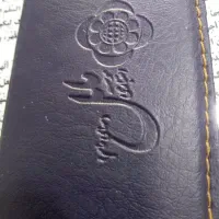 مدارک پیدا کردم