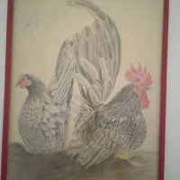 نقاشی با مداد